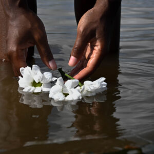 Two hands of a black person reach down to gather a small bouquet of white daisies floating on top of a natural body of water.