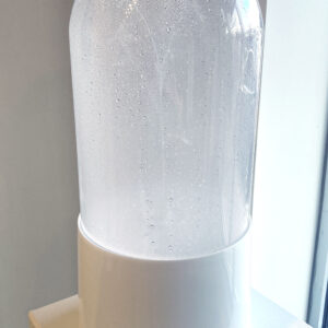 A delicate stem of clear glass flowers upright inside a glass dome full of condensation.