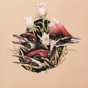 A watercolor and gouache painting of white flowers and pink birds.