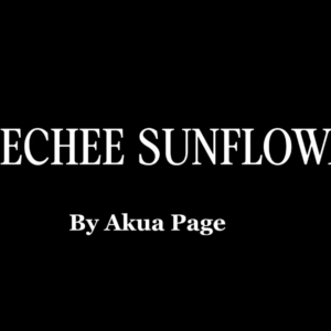 Title screen, white text on black, that says Geechee Sunflowa